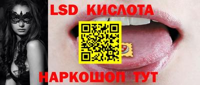 apvp Свободный