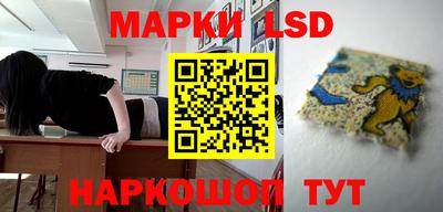 apvp Свободный