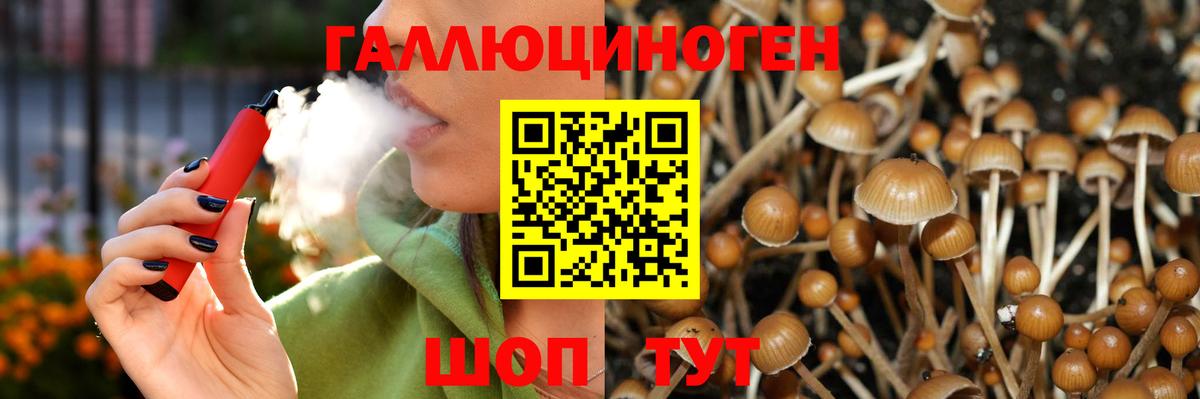 Ногинск  Псилоцибиновые грибы GOLDEN TEACHER  Вход с VPN 